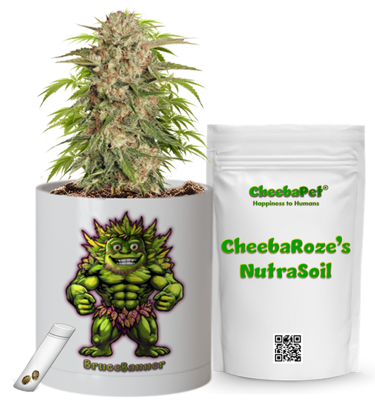 CheebaPet Planter Kit - Alpha Collection - BruceBanner