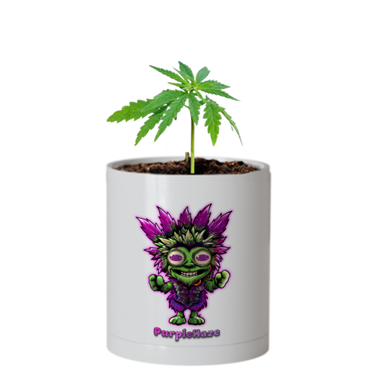 CheebaPet Planter Kit - Alpha Collection - PurpleHaze