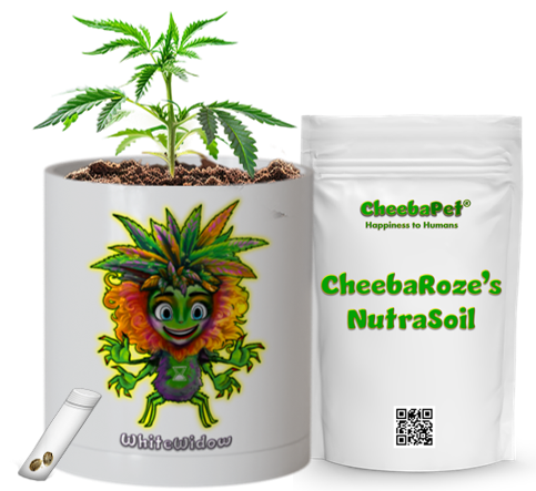 CheebaPet Planter Kit - Alpha Collection - WhiteWidow