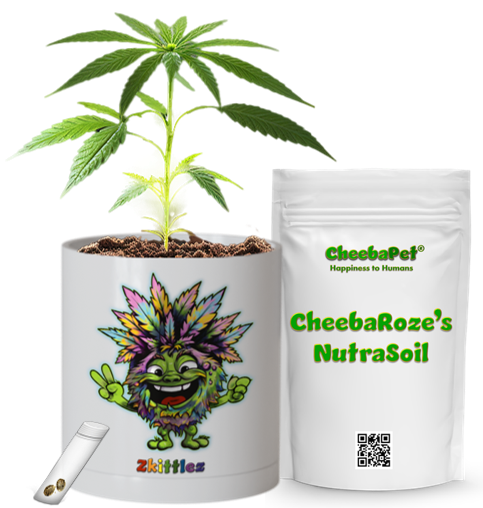 CheebaPet Planter Kit - Alpha Collection - Zkittlez