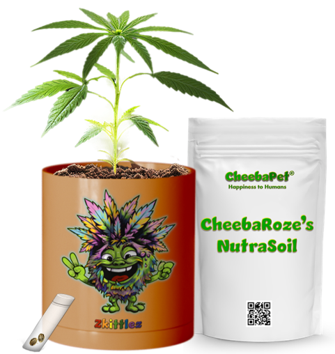 CheebaPet Planter Kit - Alpha Collection - Zkittlez