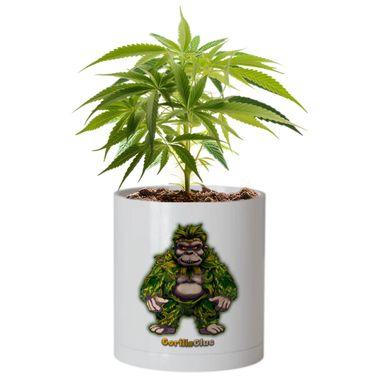 CheebaPet Planter Kit - Alpha Collection - GorillaGlue